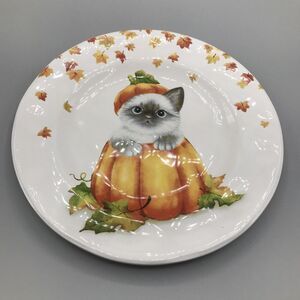 Pier 1 Exclusive FALL HALLOWEEN CAT IN‎ PUMPKIN Salad Plate  SO CUTE